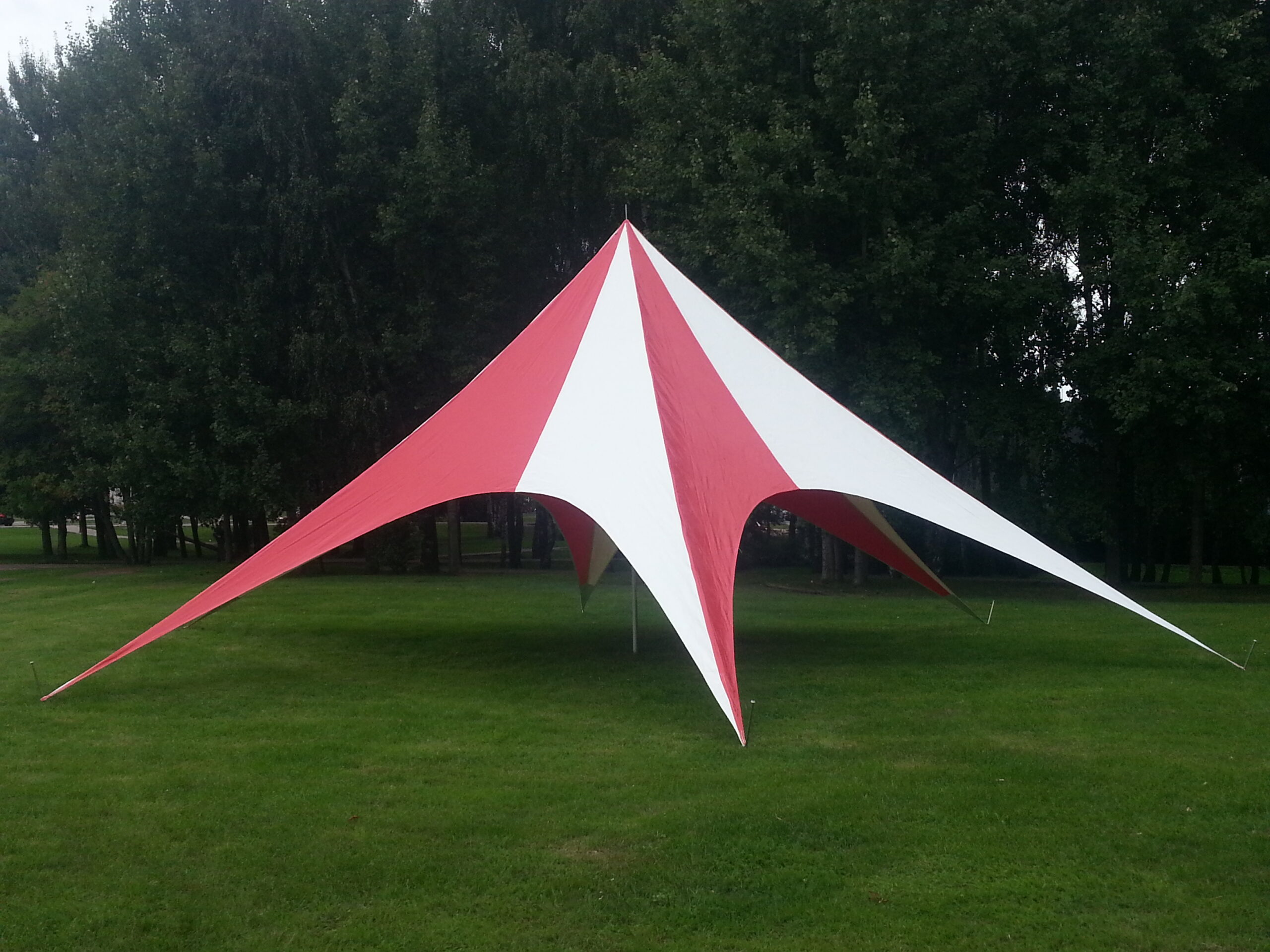Party tent Star Lux 16.8m, PVC 510g/m2, white-green