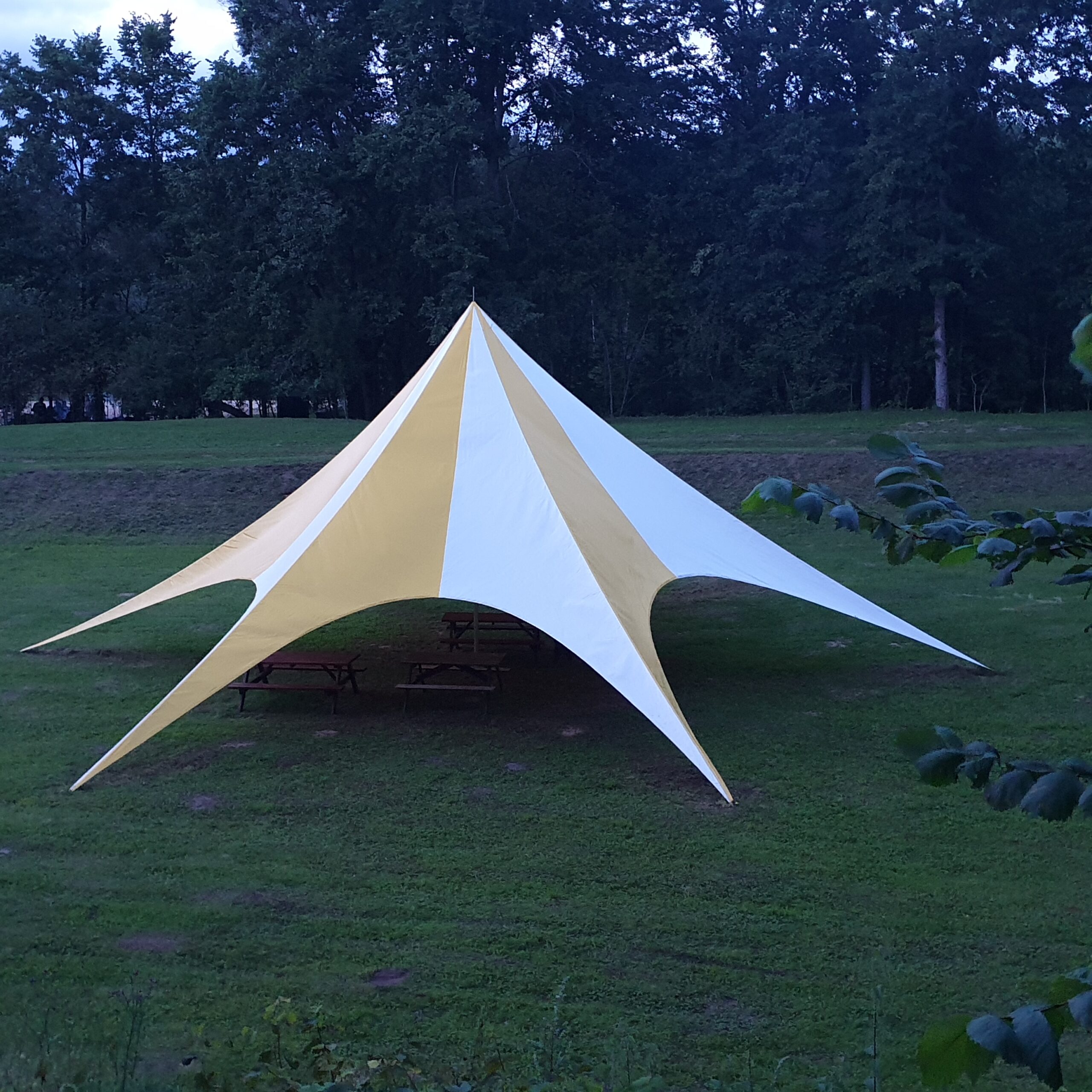 Party tent Star Lux 16.8m, PVC 510g/m2, white-green
