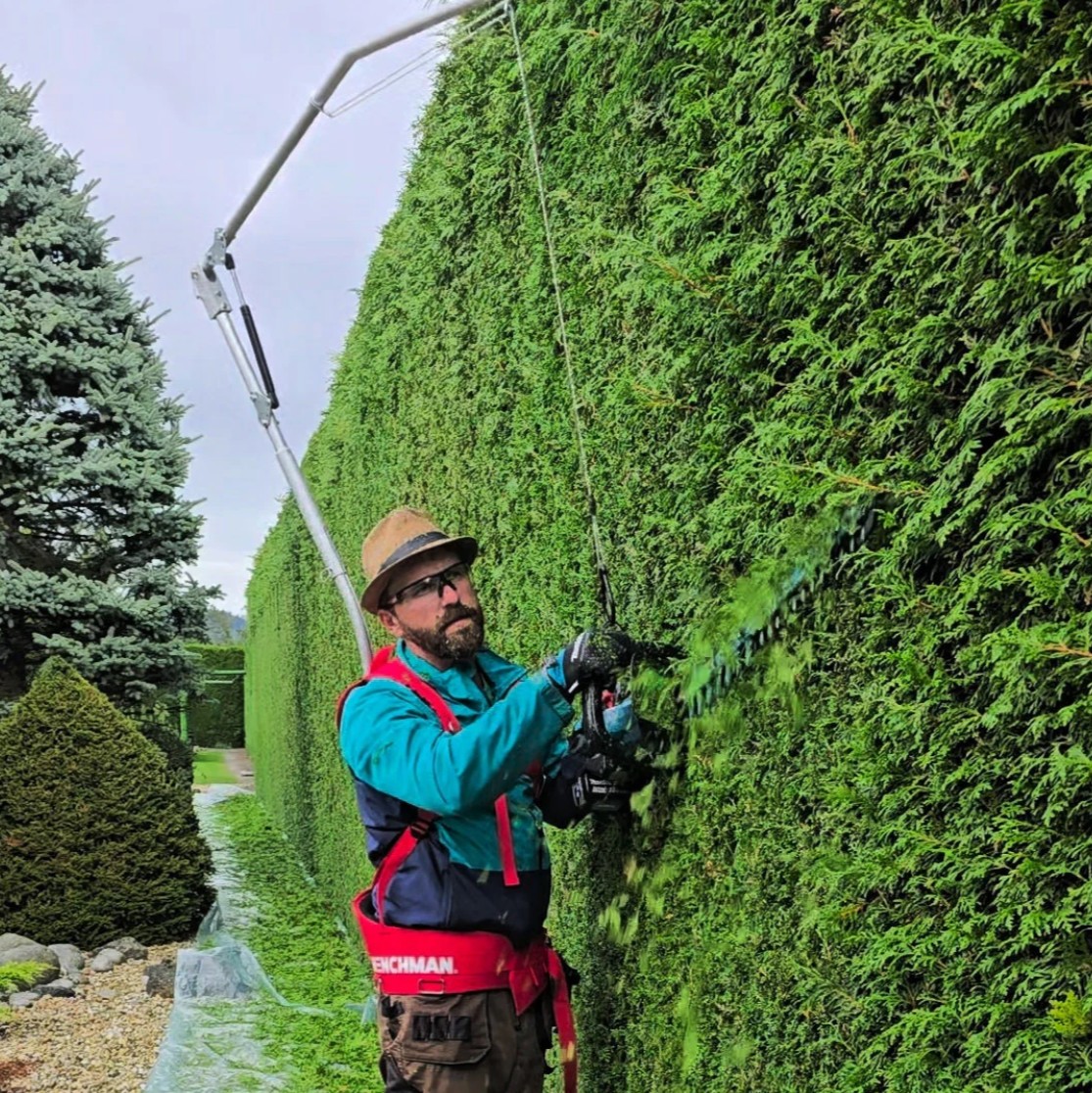 Henchman tõsterakmed